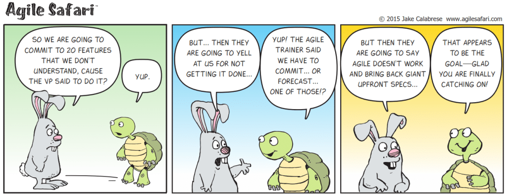 How Agile Goes Bad, Blame, and Options