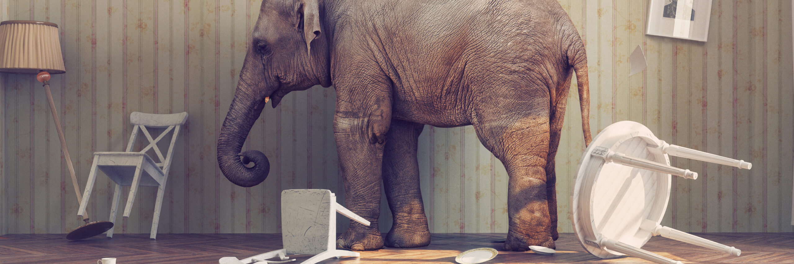 Agile Transformation and the Elephant in the Room
