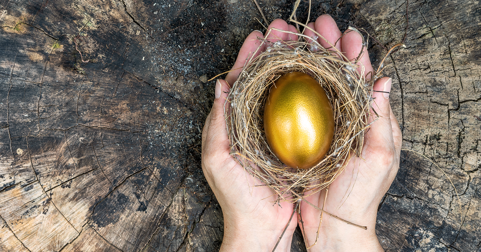 Agile Focus on Value – Golden Eggs